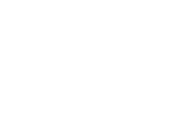 Smart Chip Footer Logo